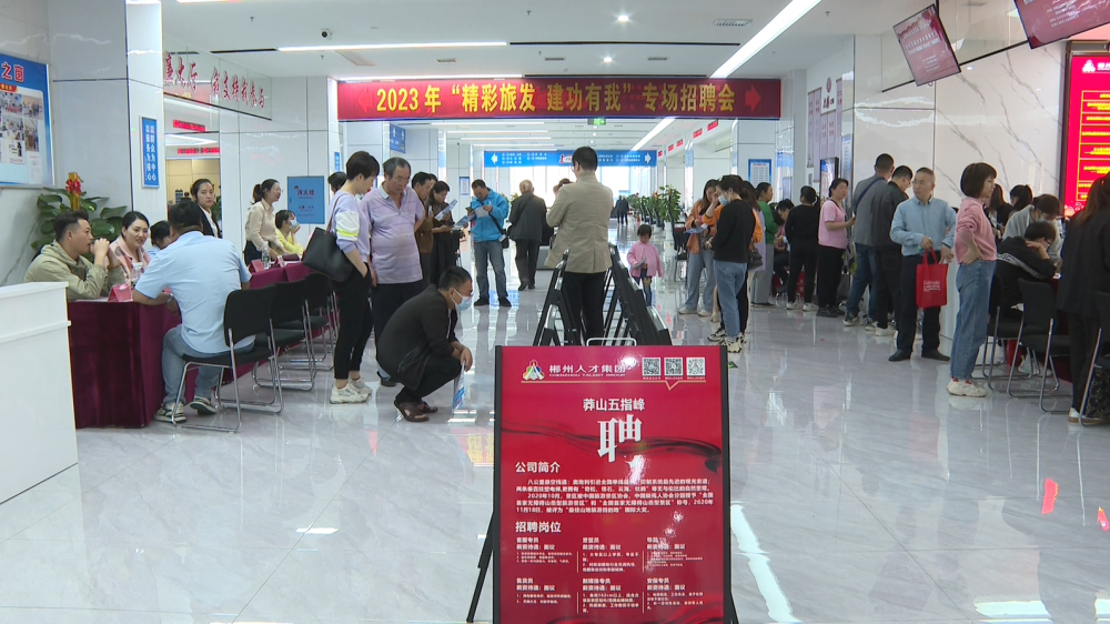 郴州招聘网最新动态，把握职业机遇，共创美好未来