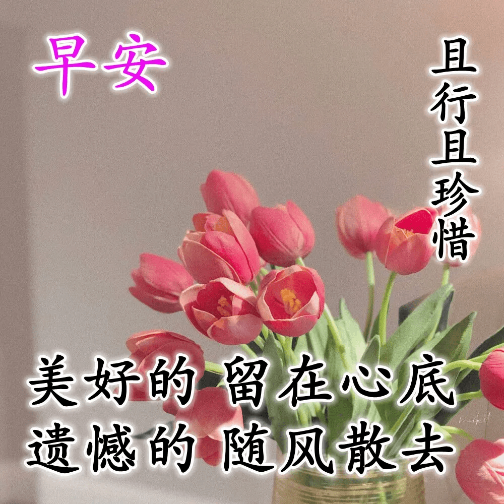 早安最新美图，唤醒你的每日清晨