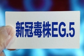 香港内部最精准免费资料,相对评价_天地神衹ICG829.15
