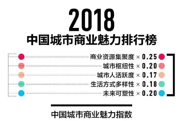 最新综合网，数字时代的桥梁，信息汇集首选平台