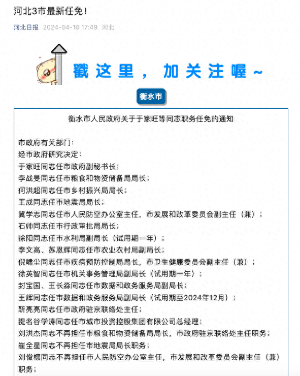 河北领导层最新任免动态，新变化展望未来发展