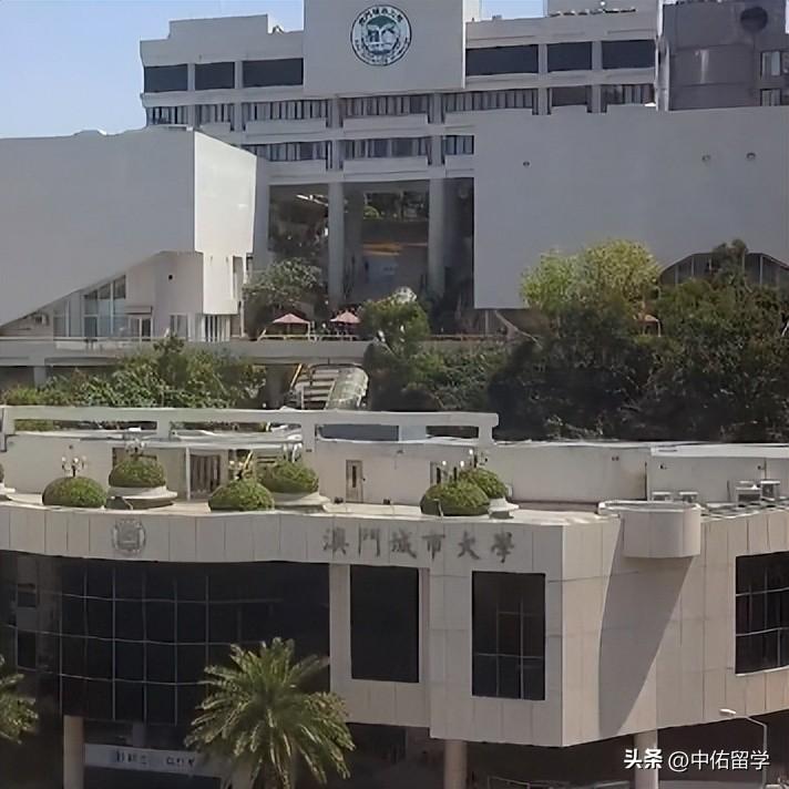 2024澳门天天开好彩资料？,电网规划发展目标_水晶版GSX661.6